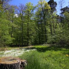 Faulbruch von Erzhausen