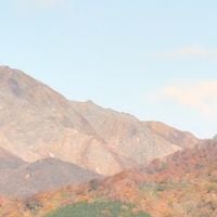 다이센정