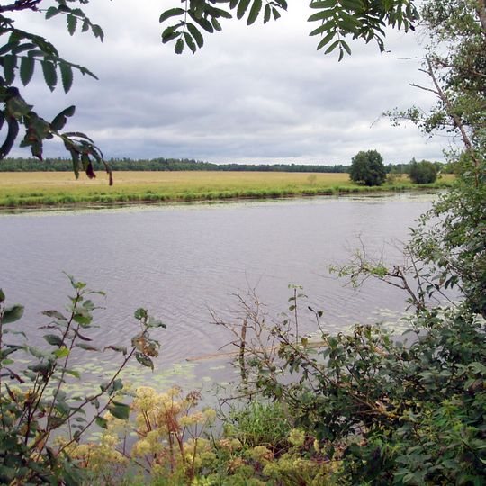 Kingiseppsky District