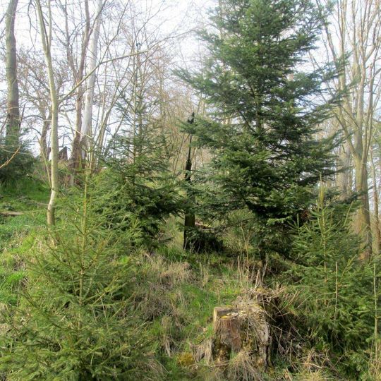 Kříž severně od Oplotce