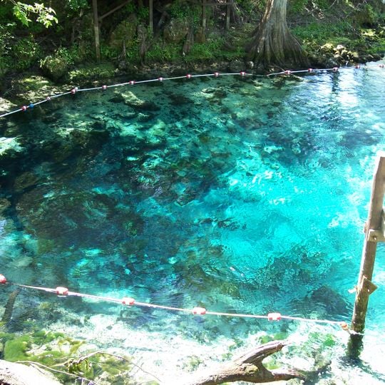 Parc d'État de Fanning Springs