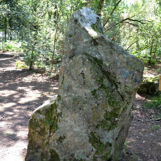 Site mégalithique de la Lande du Gras