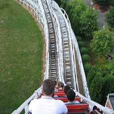 Wildcat