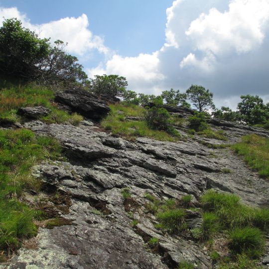 Buffalo Mountain Natural Area Preserve