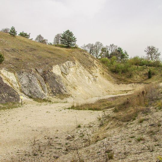 Ehem. Steinbruch E von Gosheim