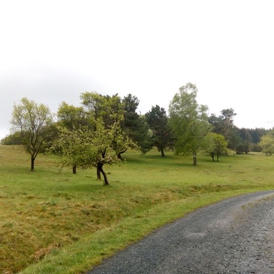 Magerrasen bei Steinperf und Brachehöll bei Niedereisenhausen