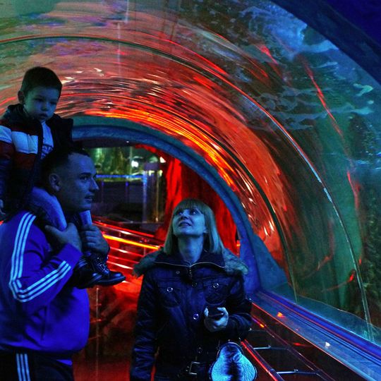 Ocean Park, Krasnodar