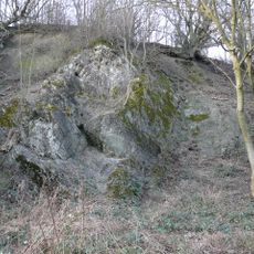 Flinzschiefer Scholle