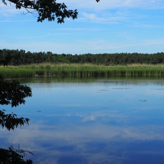 Lugteich bei Grüngräbchen