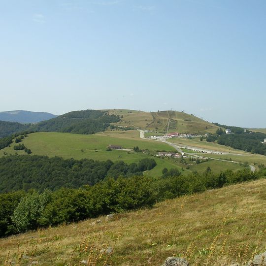 Trehkopf