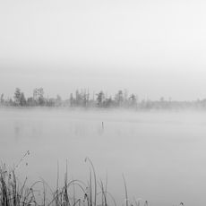 Réserve naturelle de Rivne