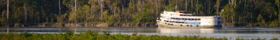 Panoramic View 2