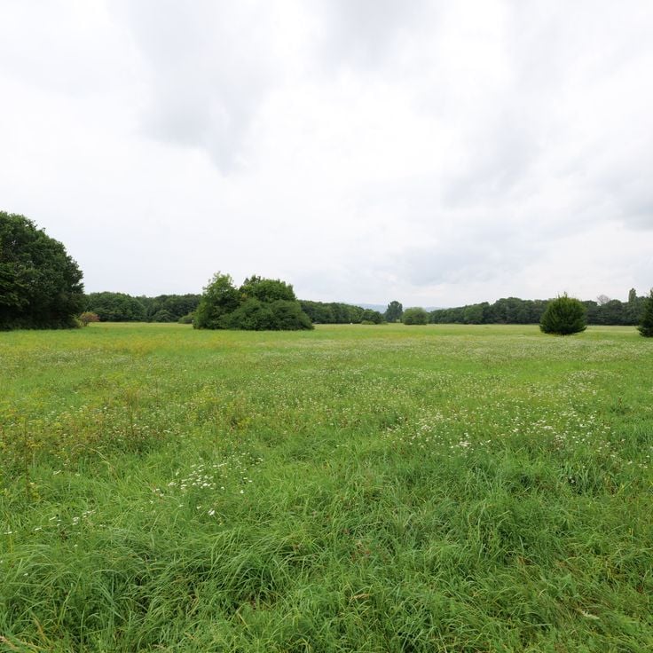 Niddaparken