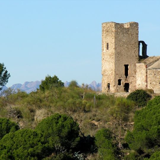 Sant Pere de Romaní