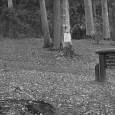 D’Aguilar-Nationalpark