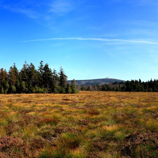 Großes Torfhausmoor