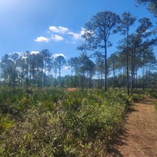 Pumpkin Hill Creek Preserve State Park