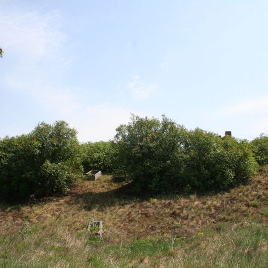 Cmentarz ewangelicki przy dawnym zborze w Dołkach