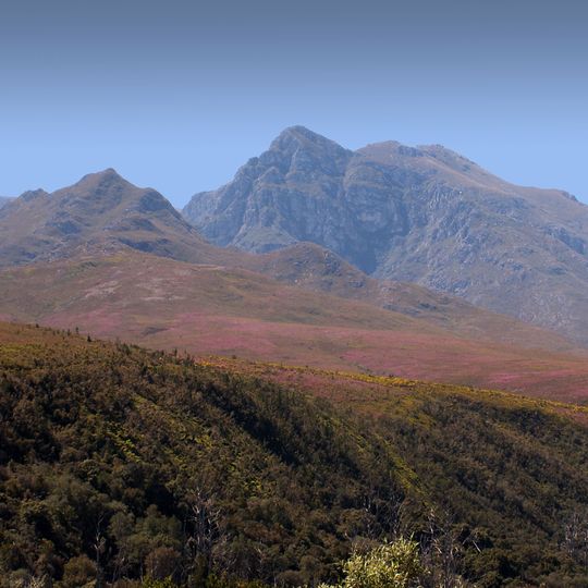 Grootvadersbosch Nature Reserve