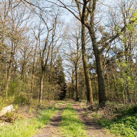 Linnert, Brook und Heubachniederung