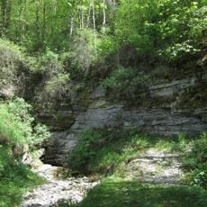 Großer Tummler im Leinleitertal mit Quellhöhle C 69