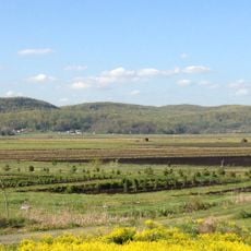 Jenny Jump State Forest