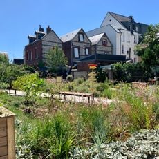 The Shared Garden