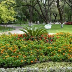 Harbin Zoo
