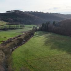 Röhraue