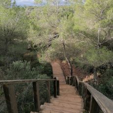 Wooden stairs