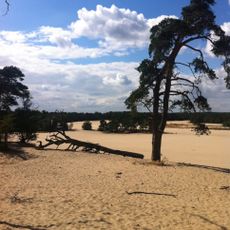 Parc national De Loonse en Drunense Duinen