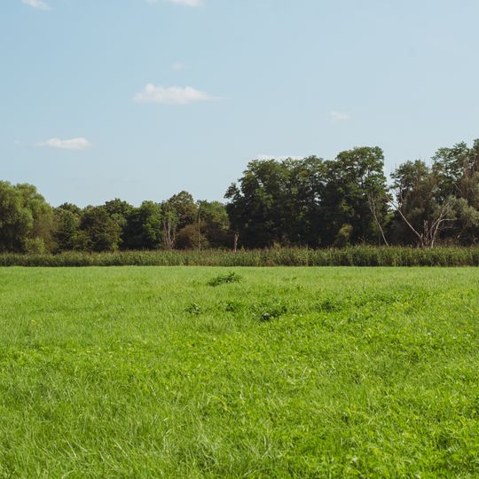 NSG 'Saaraue nordwestlich Wadgassen'