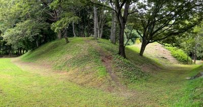Panoramavy 1