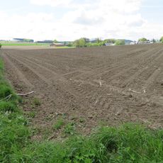 Offenlandbereich Büenfeld