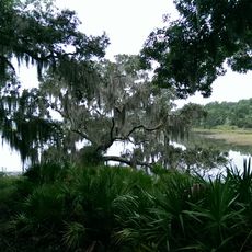 St. Catherines Island