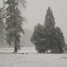 Arboretum de Grignon