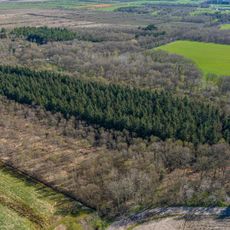 Gehölz bei Schiffdorf