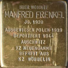 Manfred Frenkel