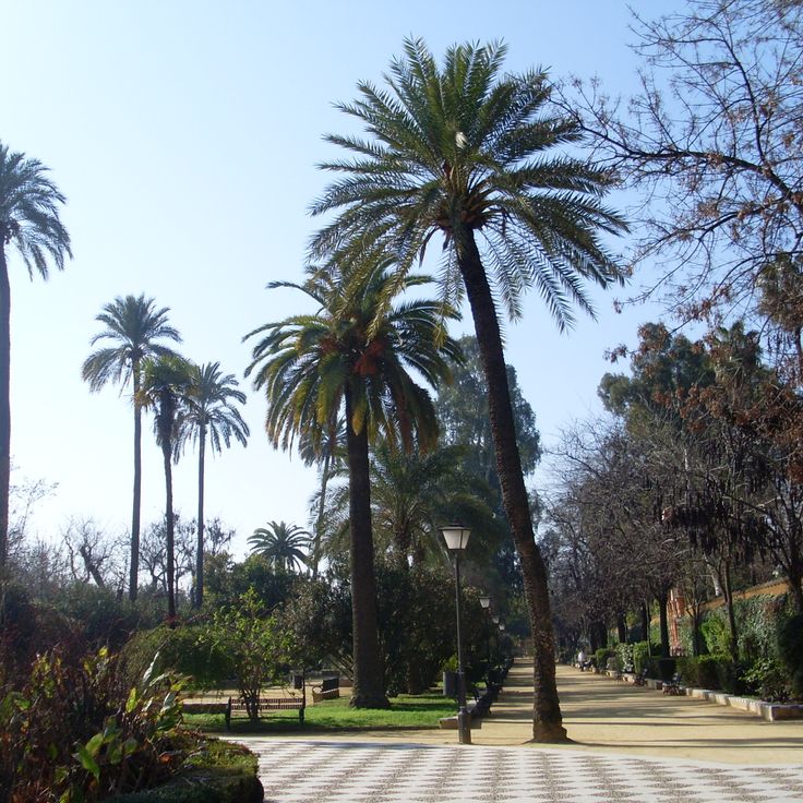 Jardines de Murillo