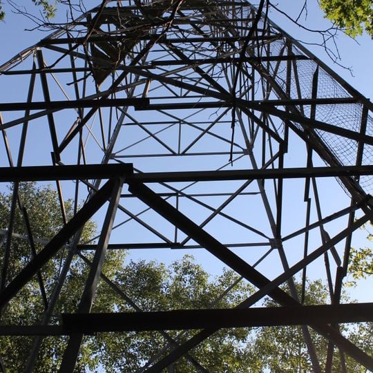 Savanna State Forest