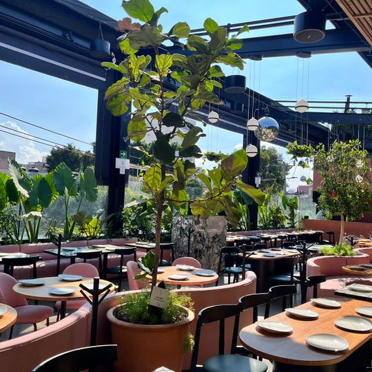 Balmori Roofbar
