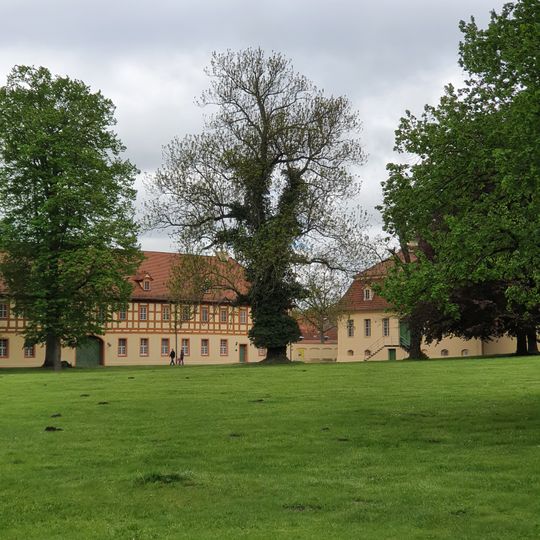 Naturdenkmal Gemeine Esche Schlosspark, ca. 35 m östlich der ehemaligen Kanzlei in Lübbenau/Spreewald
