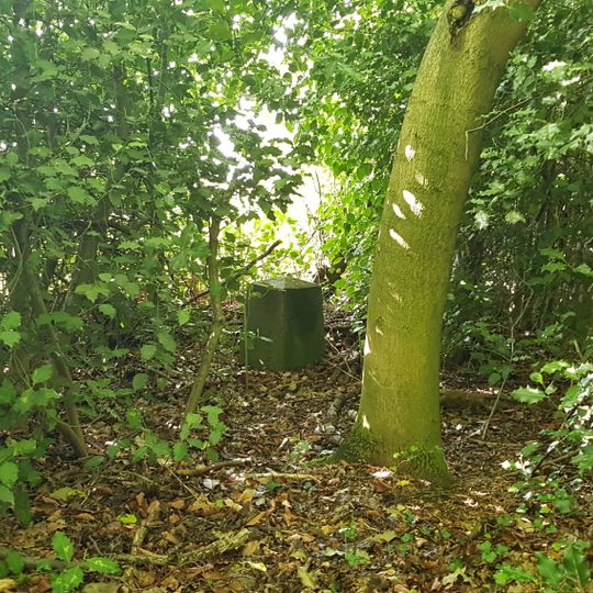Belgium-Netherlands boundary stone no. 15a