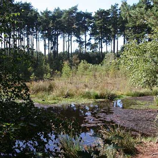Black Lake Nature Reserve