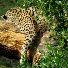 Jukani Wildlife Sanctuary