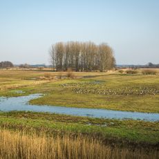 Schulensbroek