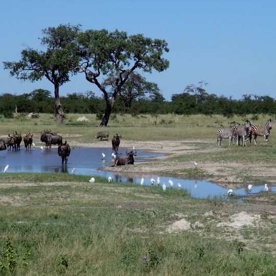 Parco nazionale del Chobe
