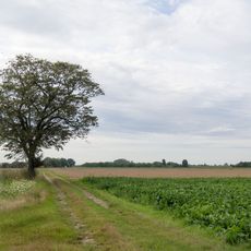 LSG-Fliethbach