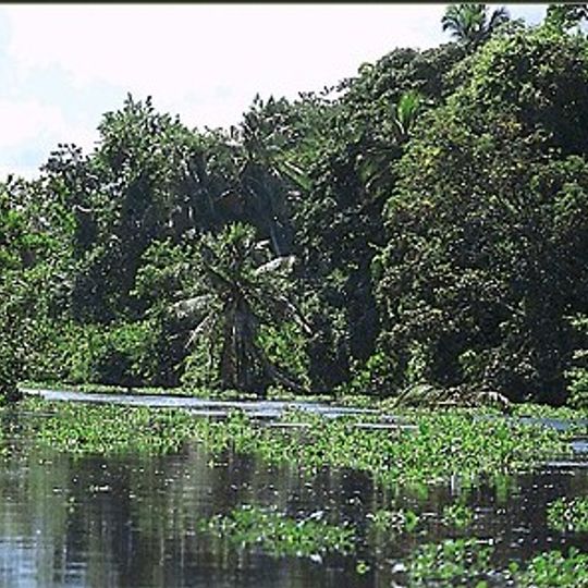 Municipio Pedernales