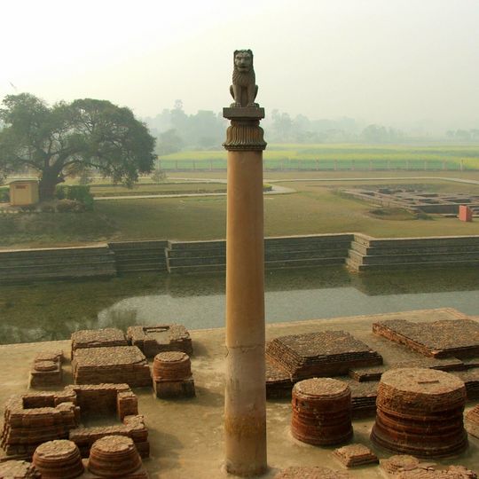 Vaishali Pillar